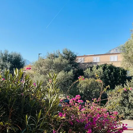 Le Padule Rousse * LʼÎle-Rousse